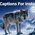 Wolf Captions For Instagram