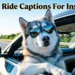 Dog Car Ride Captions For Instagram