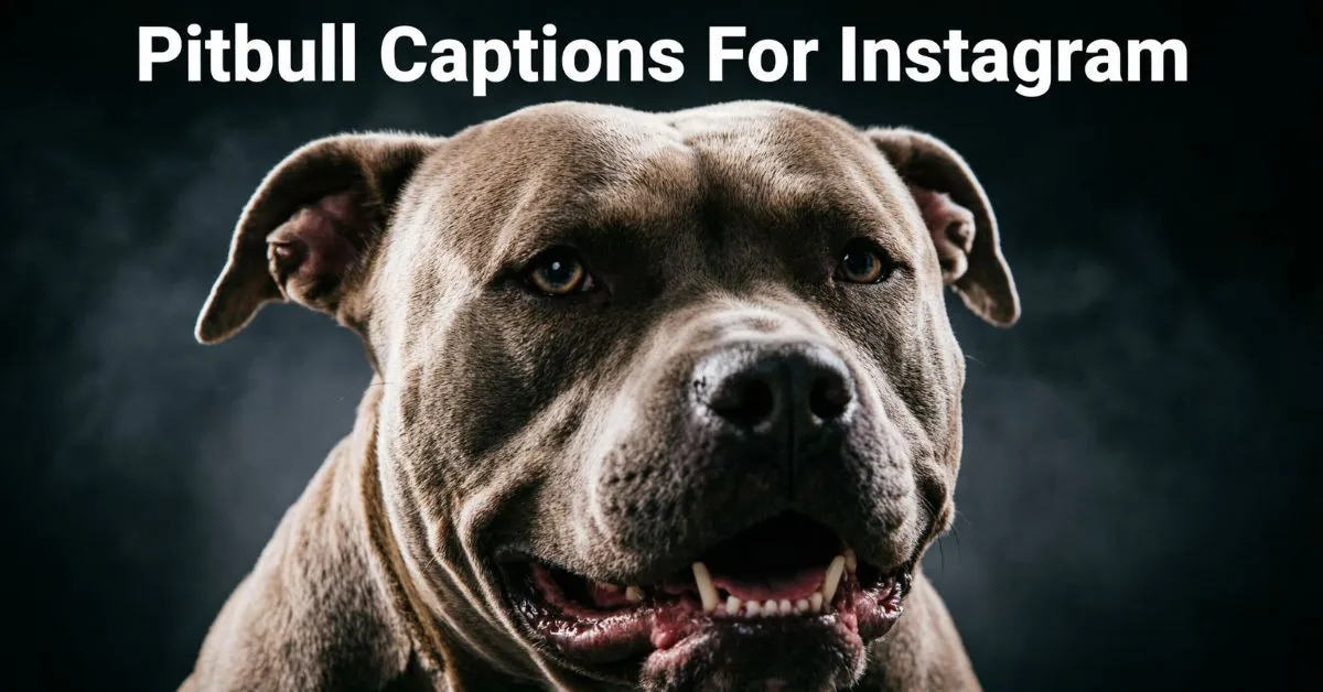 Pitbull Captions For Instagram